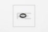 SCANI 01320607 Seal Ring